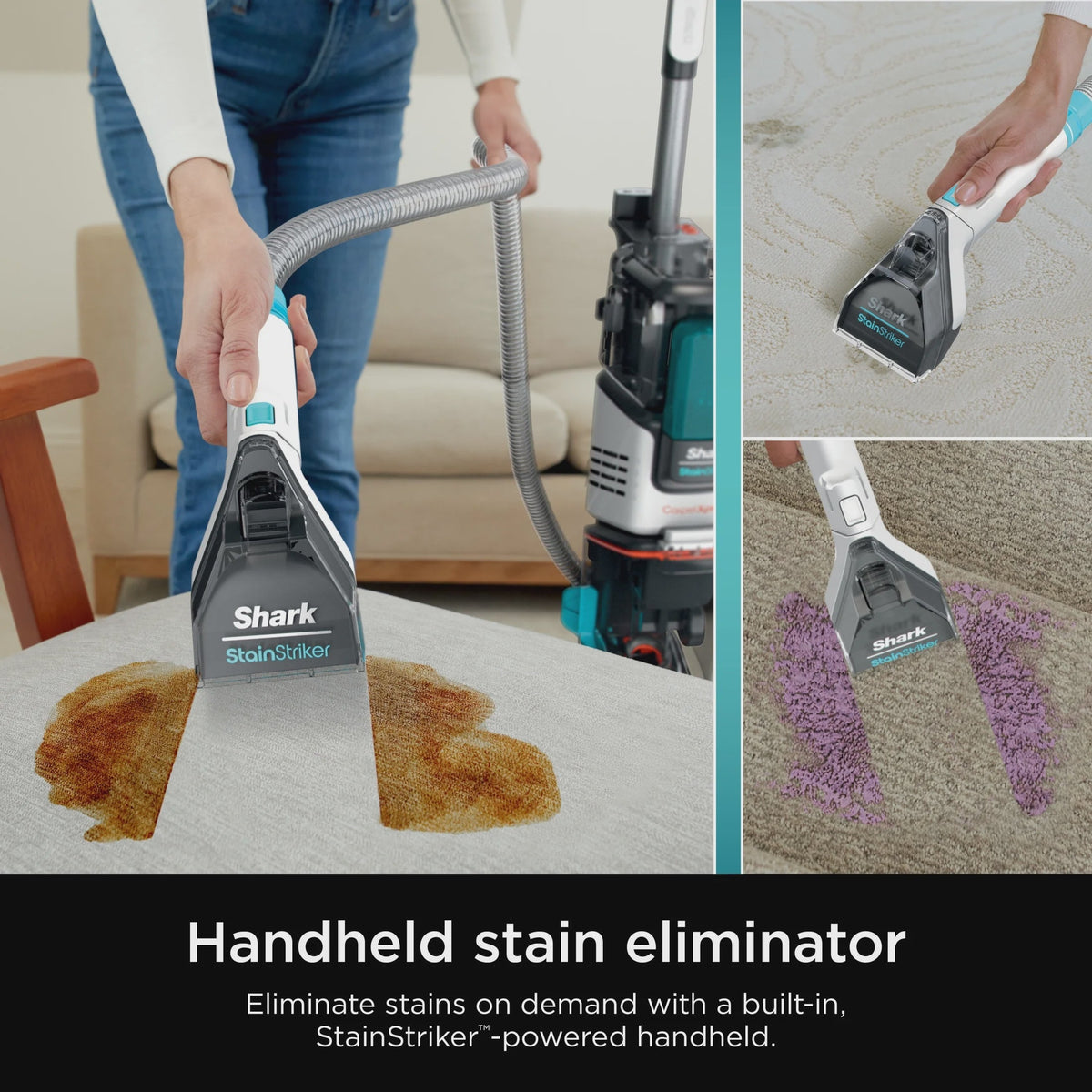 Shark? CarpetXpert? with Stainstriker? Carpet Cleaner