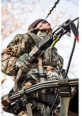 Climbing Treestands