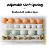Egg Incubator - Egg Incubator with Automatic Egg Turning and Humidity Control,Large Poultry Hatcher for Chickens Birds Ducks (176 Eggs)