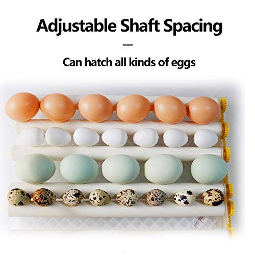 Egg Incubator - Egg Incubator with Automatic Egg Turning and Humidity Control,Large Poultry Hatcher for Chickens Birds Ducks (176 Eggs)