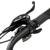 Favorite Hybrid CSC Electric Bike, Step Through