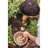 Xact Trowel