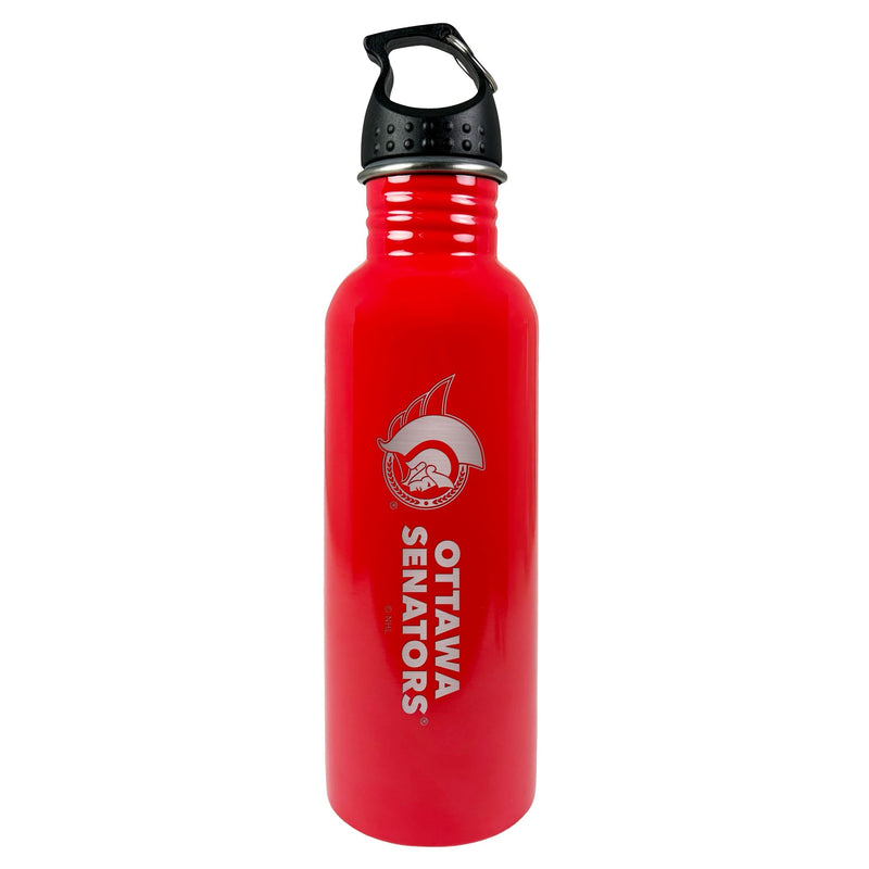 Stainless Steel Water Bottle, 25-oz C1516