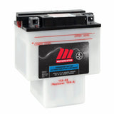Commercial Group Size 31S Dual Purpose Battery
