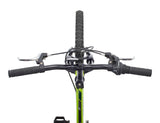 GOAT Youth Bike with V-brakes, 20-in, Green