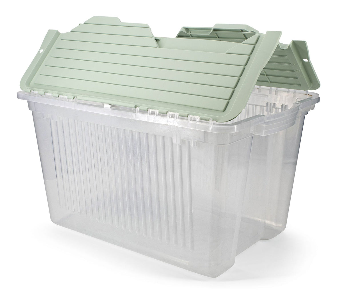 type A Transparent Stackable Storage Box with Flip-top Lid, 45-L, Eucalyptus